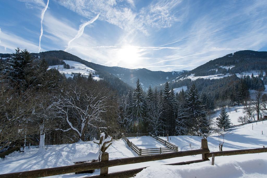 Hotel Gasthof Erbhof Anderlhof Leogang Ngoại thất bức ảnh